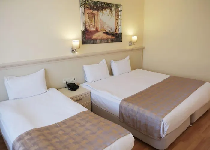 Troia Tusan チャナッカレ